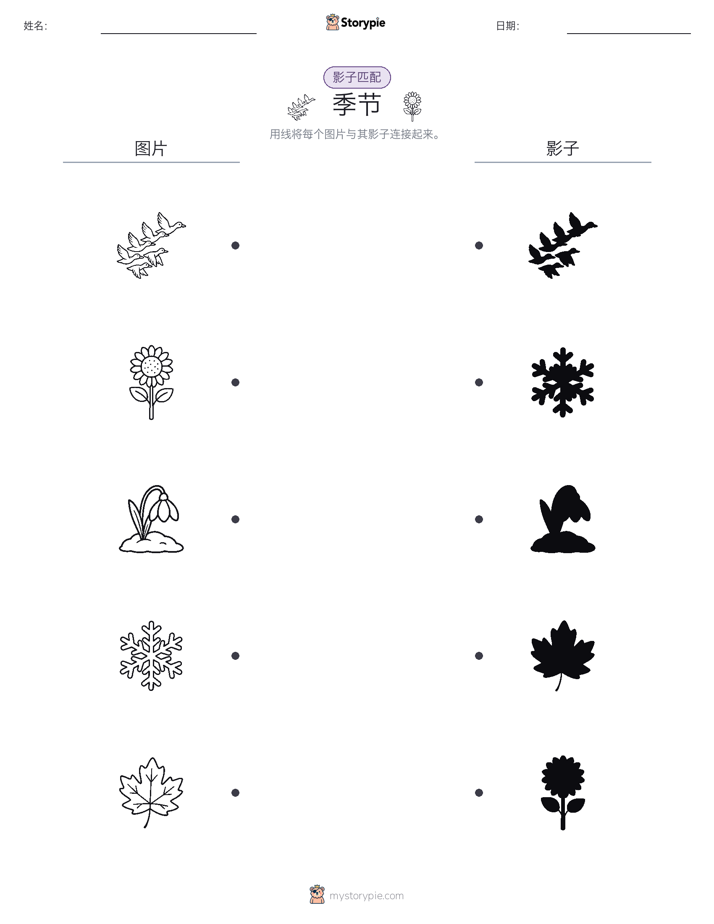 影子匹配