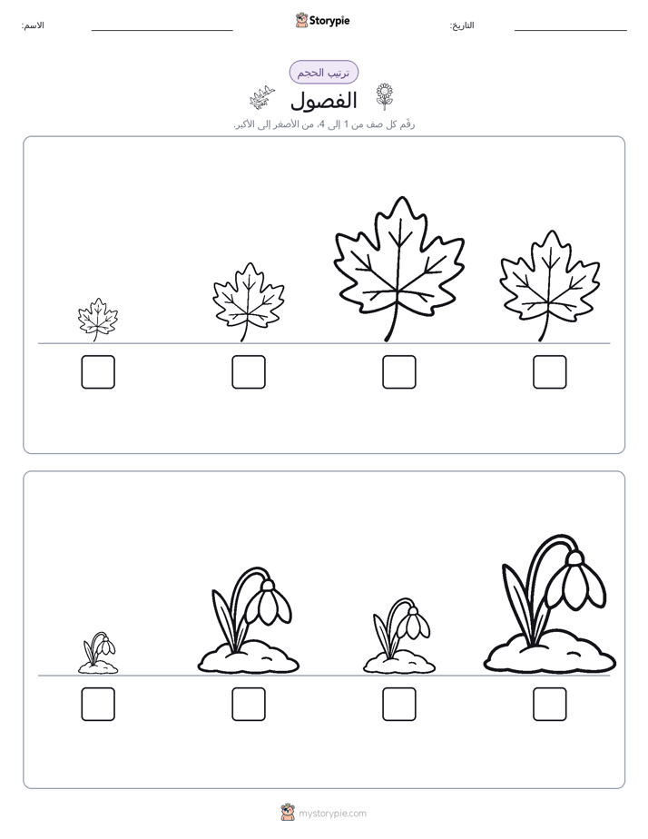 ترتيب الحجم