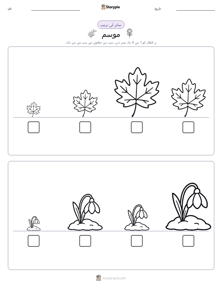 سائز کی ترتیب