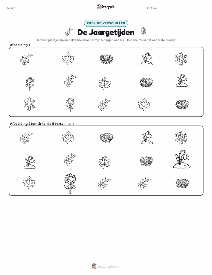 Vind het Verschil