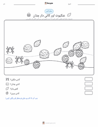 انانسی اور کائی سے ڈھکی چٹان پرنٹ کرنے کے قابل ورکشیٹ کا پیش نظارہ