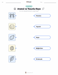 Anansi ve Yosun Kaplı Kaya çocuklar için yazdırılabilir çalışma sayfası