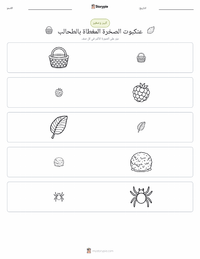 معاينة ورقة العمل القابلة للطباعة أنانسي والصخرة المغطاة بالطحالب