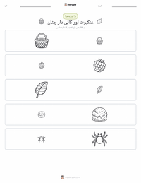 انانسی اور کائی سے ڈھکی چٹان پرنٹ کرنے کے قابل ورکشیٹ کا پیش نظارہ