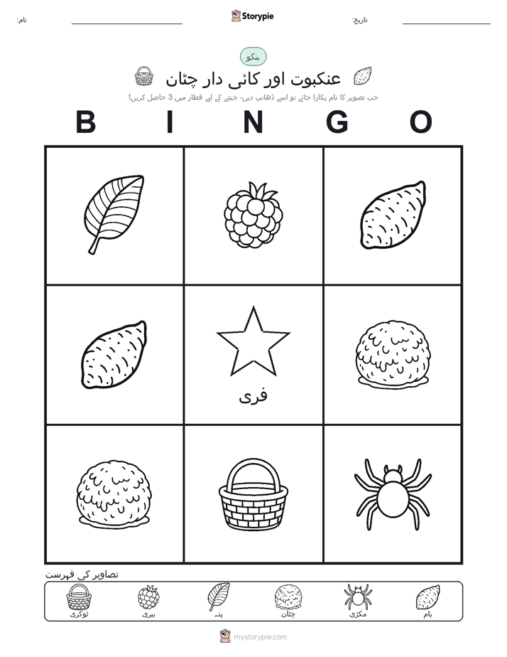 تصویری بنگو