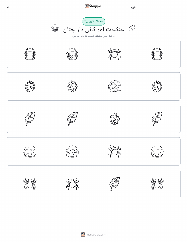 عجیب ایک