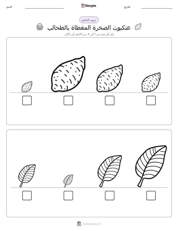 ترتيب الحجم