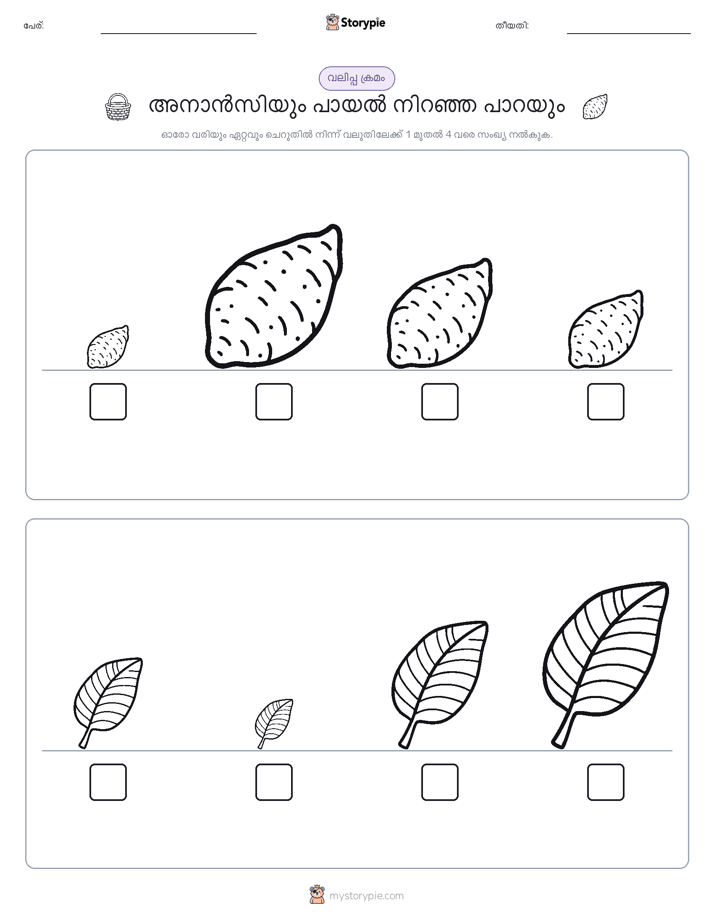 വലുപ്പം ക്രമം