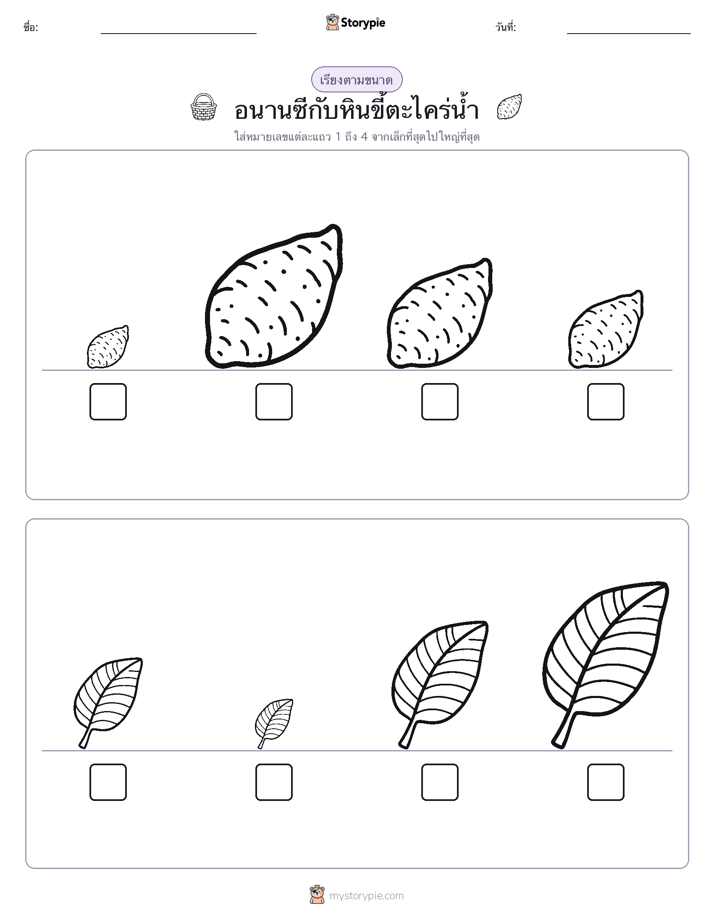 ลำดับขนาด