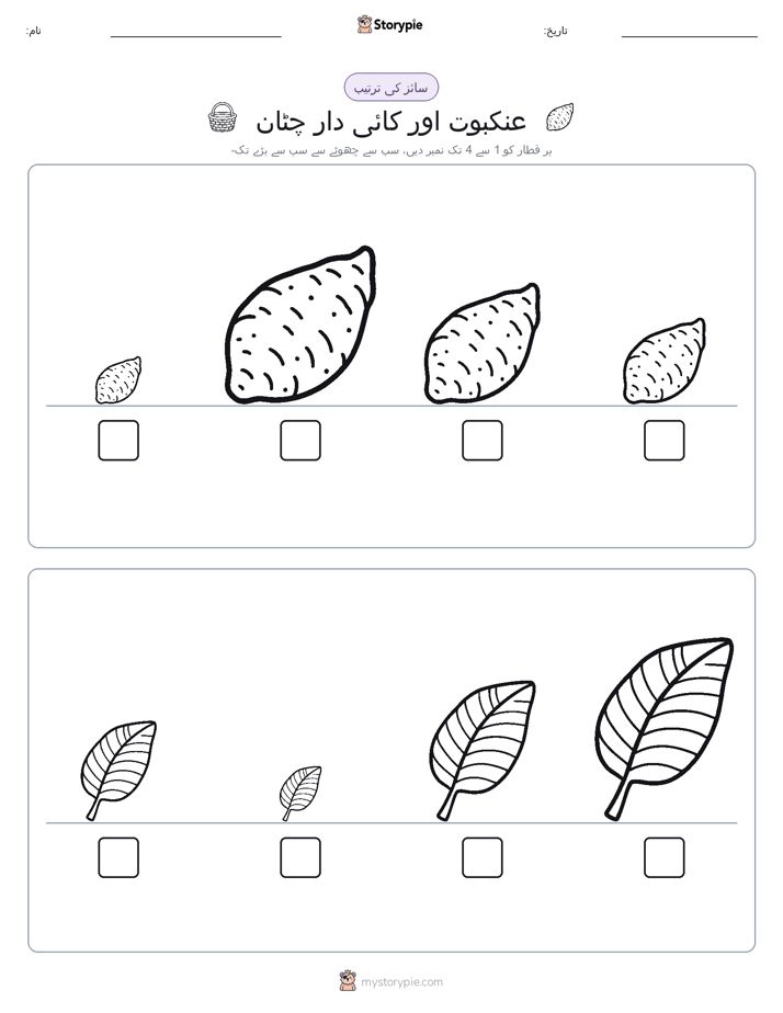 سائز کی ترتیب
