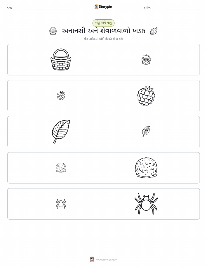 વર્ગીકરણ
