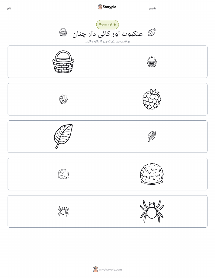 ترتیب دینا