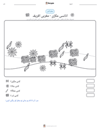 انانسی مکڑی - مغربی افریقہ پرنٹ کرنے کے قابل ورکشیٹ کا پیش نظارہ