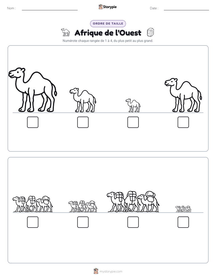 Ordre de Taille