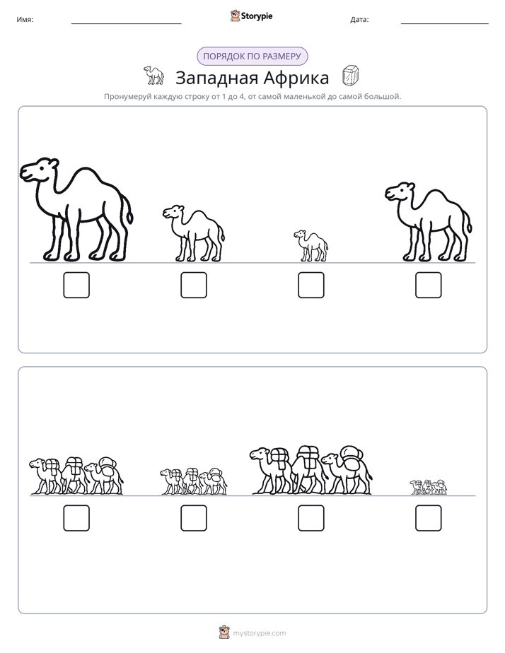 Размеры в порядке