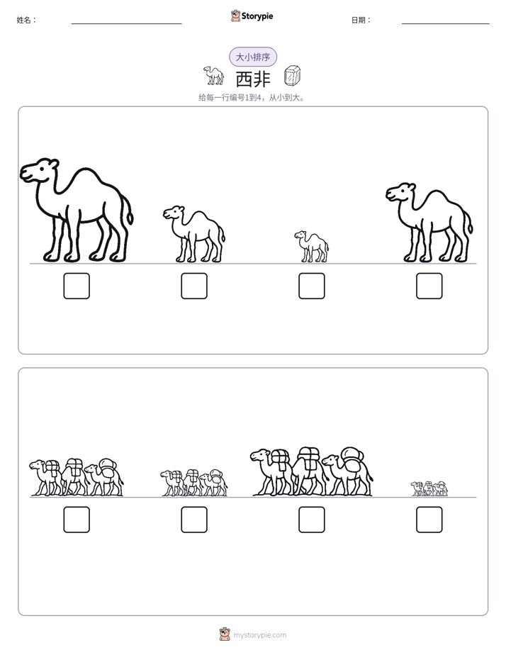 大小排序