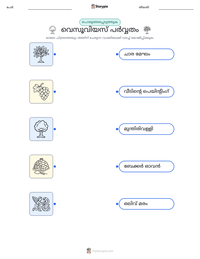 വെസൂവിയസ് പർവ്വതം പ്രിന്റ് ചെയ്യാവുന്ന വർക്ക്‌ഷീറ്റ് മുൻകൂർ കാഴ്ച
