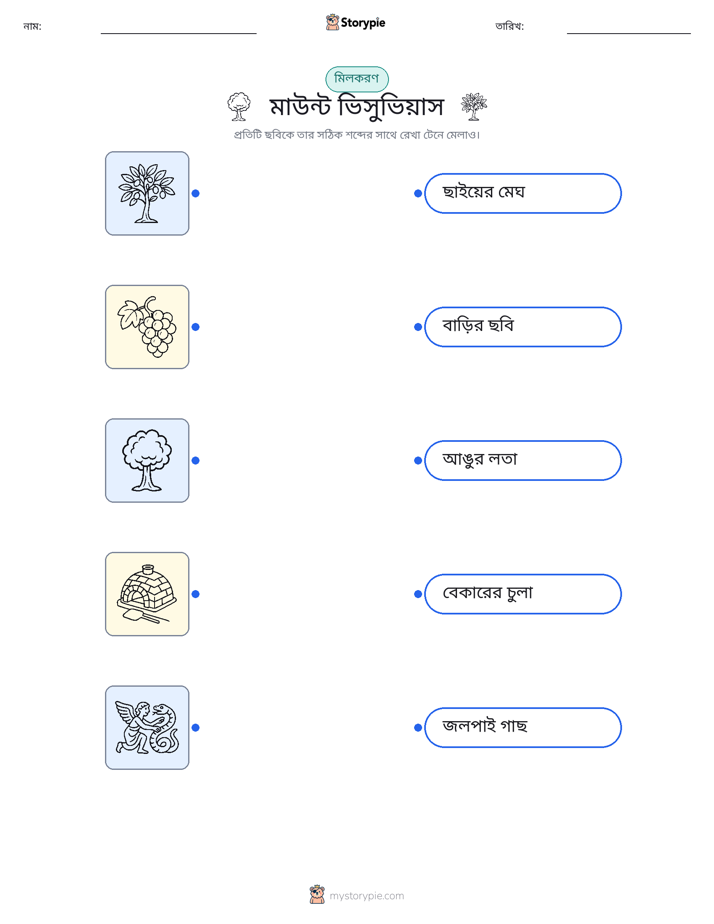ছবি মেলানো