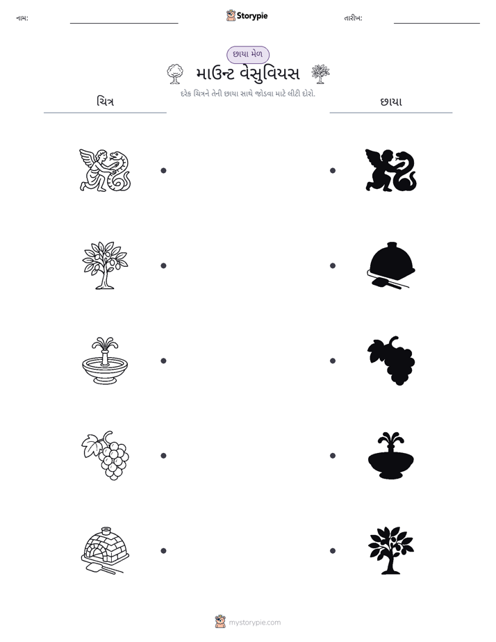 શેડો મેચ