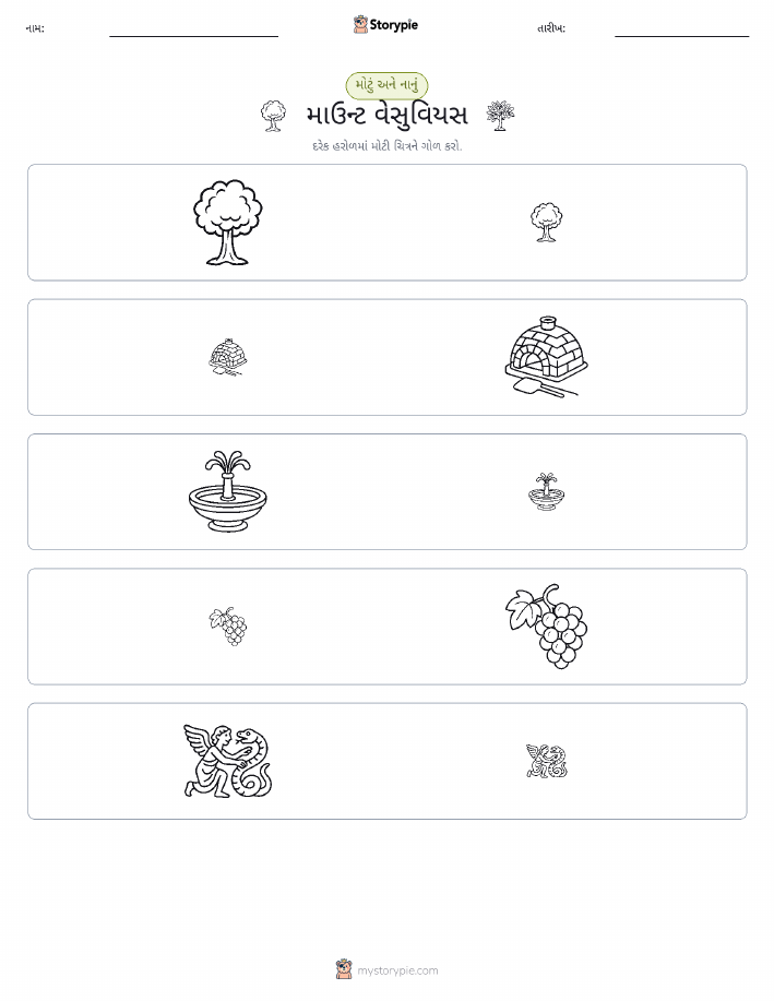 વર્ગીકરણ