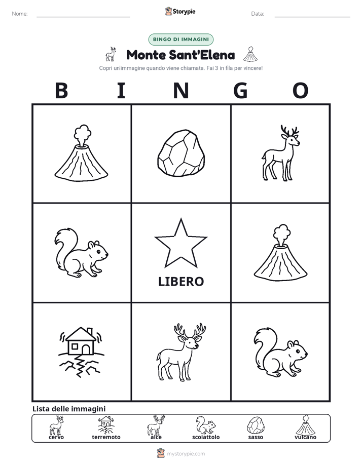 Bingo delle Immagini