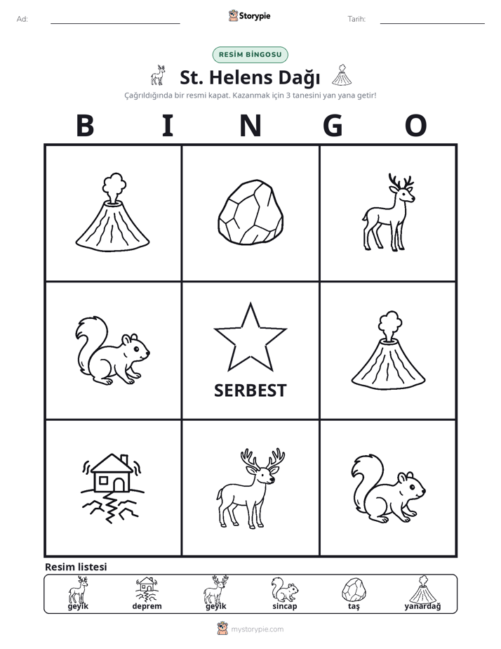 Resim Bingo