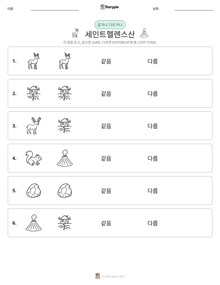 같은 것 또는 다른 것
