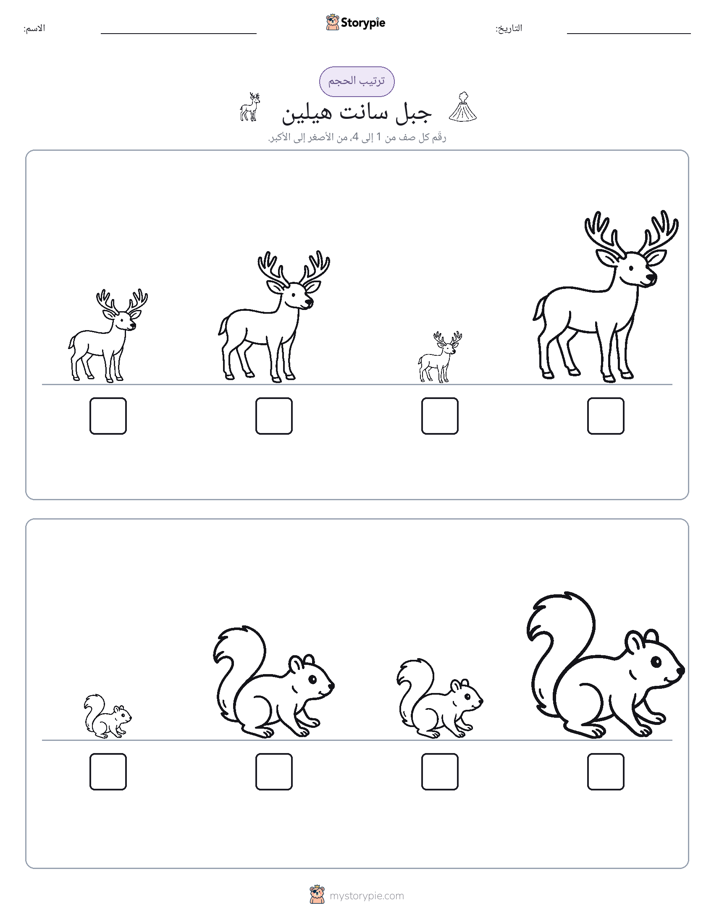 ترتيب الحجم