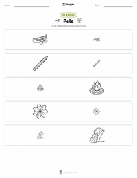 Pele printable worksheet preview