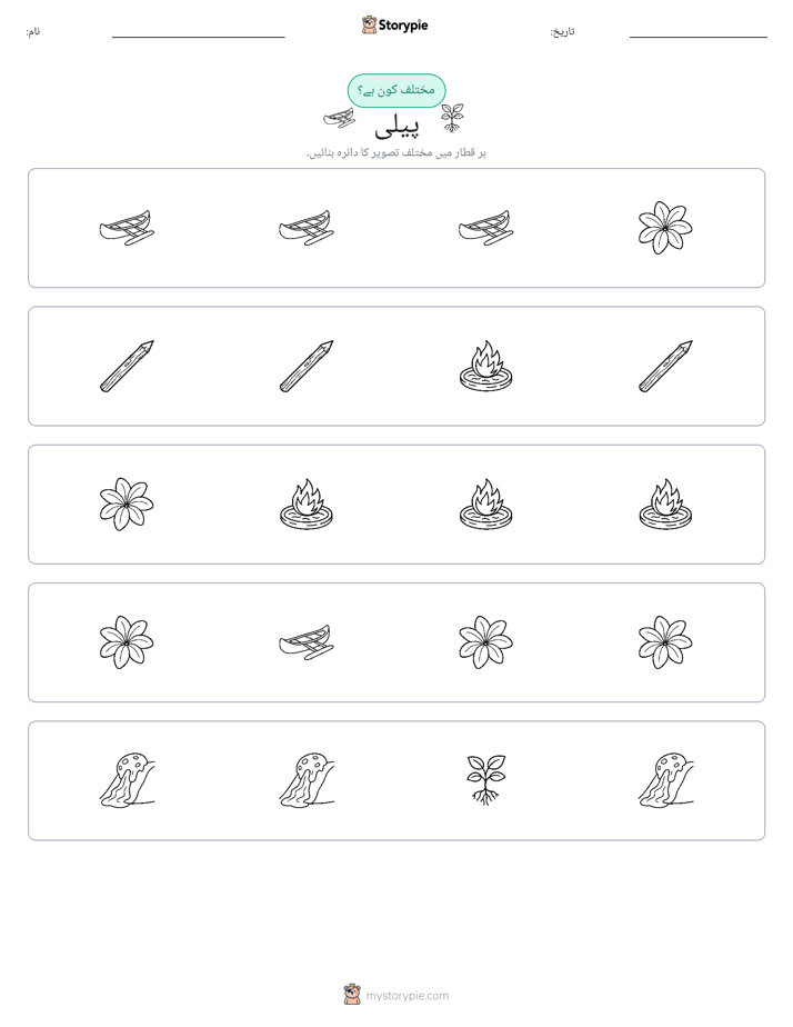 عجیب ایک