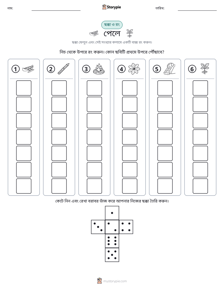রোল & রঙ