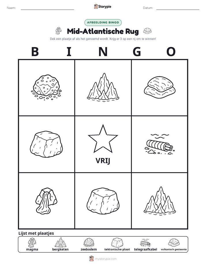 Afbeelding Bingo