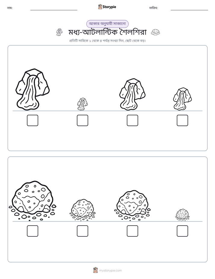 আকারের ক্রম