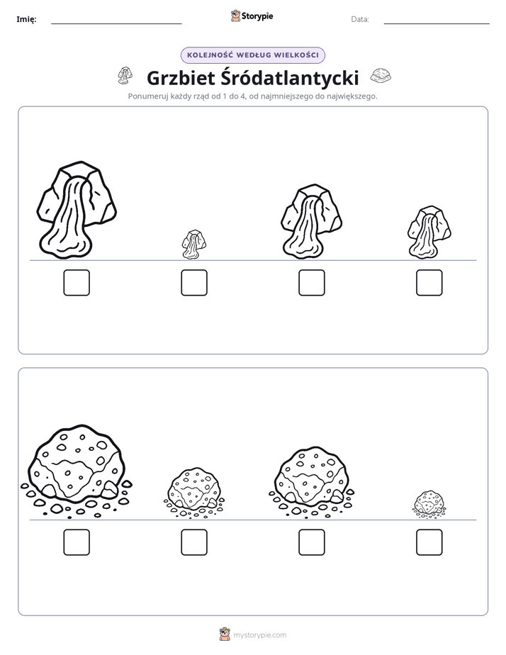 Porządek rozmiarów