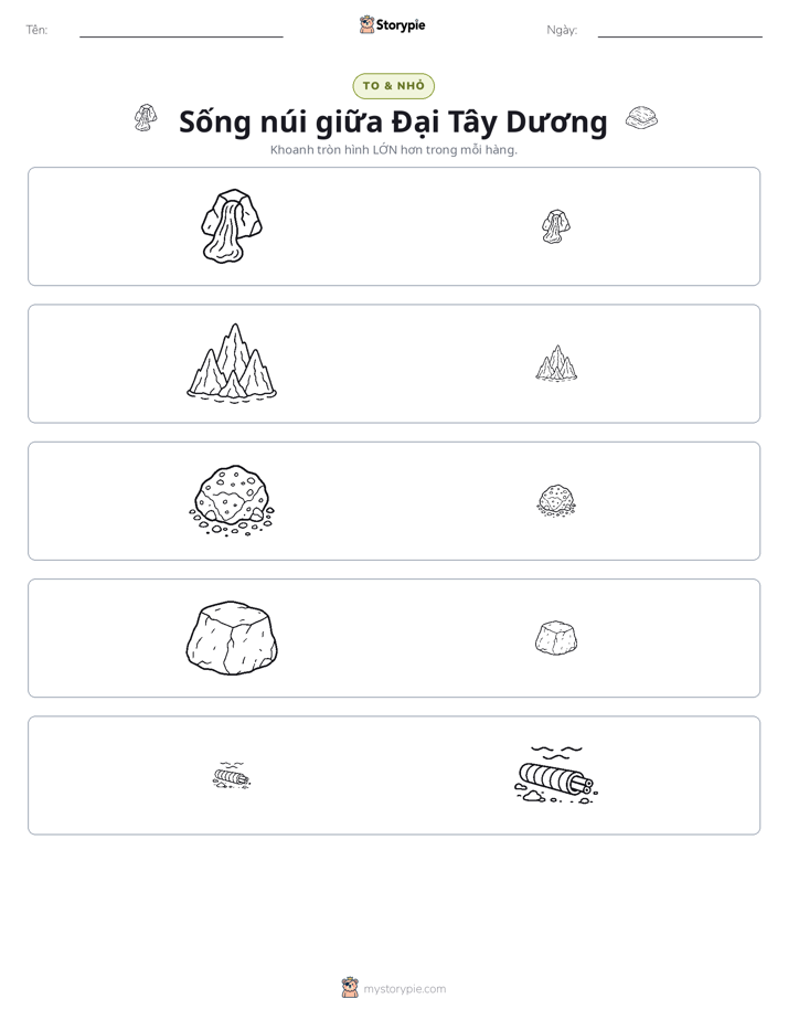 Phân Loại