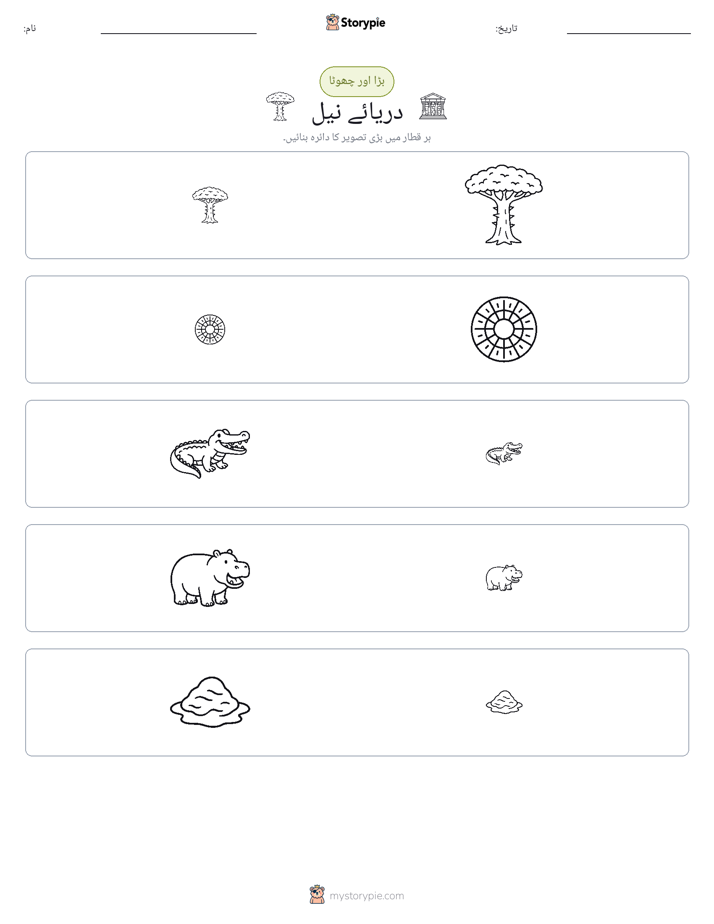 ترتیب دینا