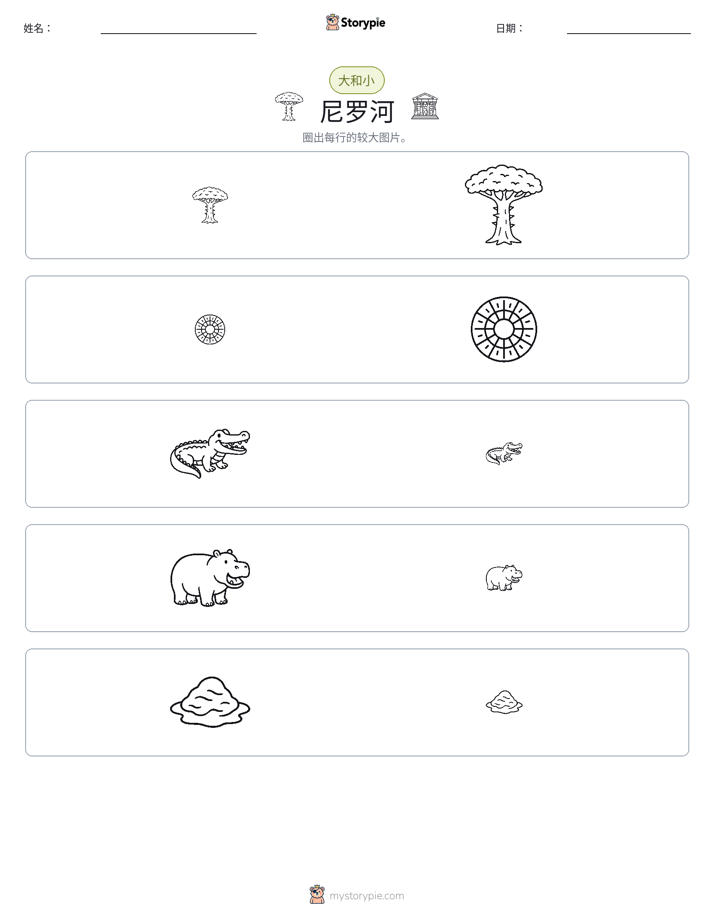分类