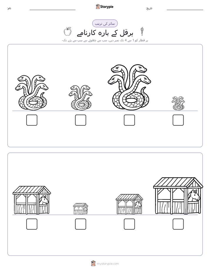 سائز کی ترتیب