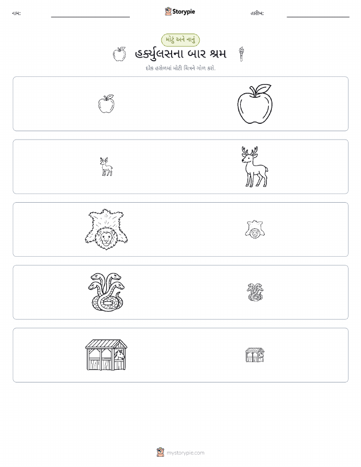 વર્ગીકરણ