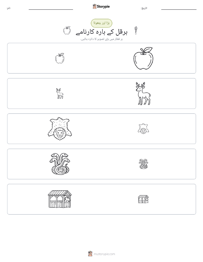 ترتیب دینا