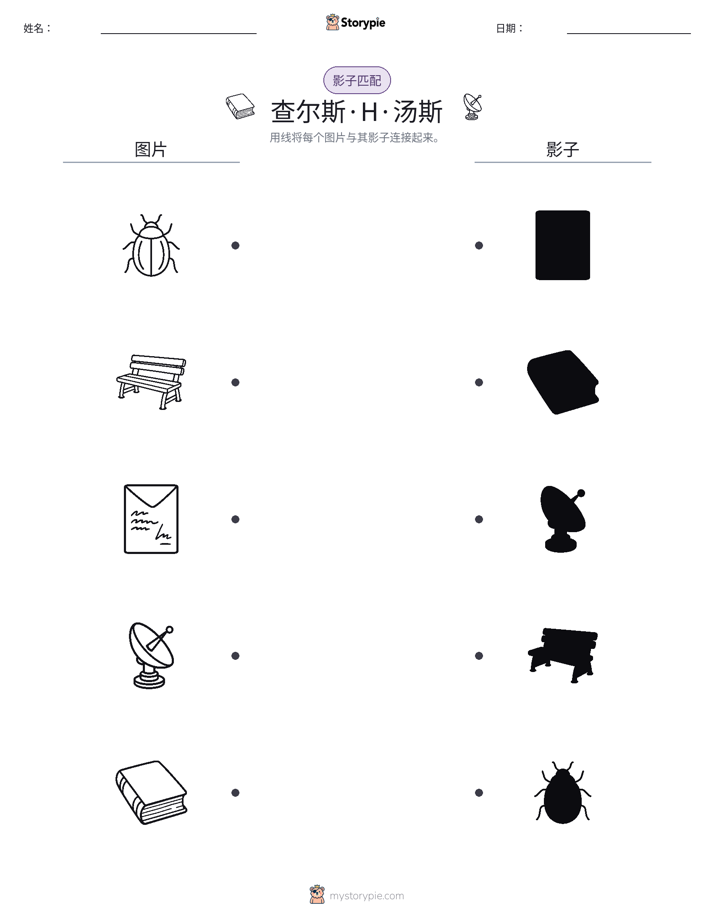 影子匹配