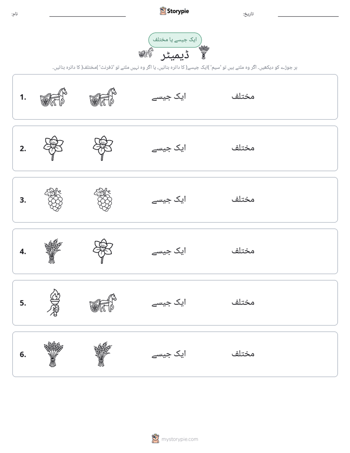 ایک جیسا یا مختلف