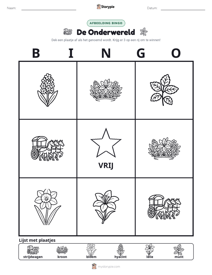 Afbeelding Bingo