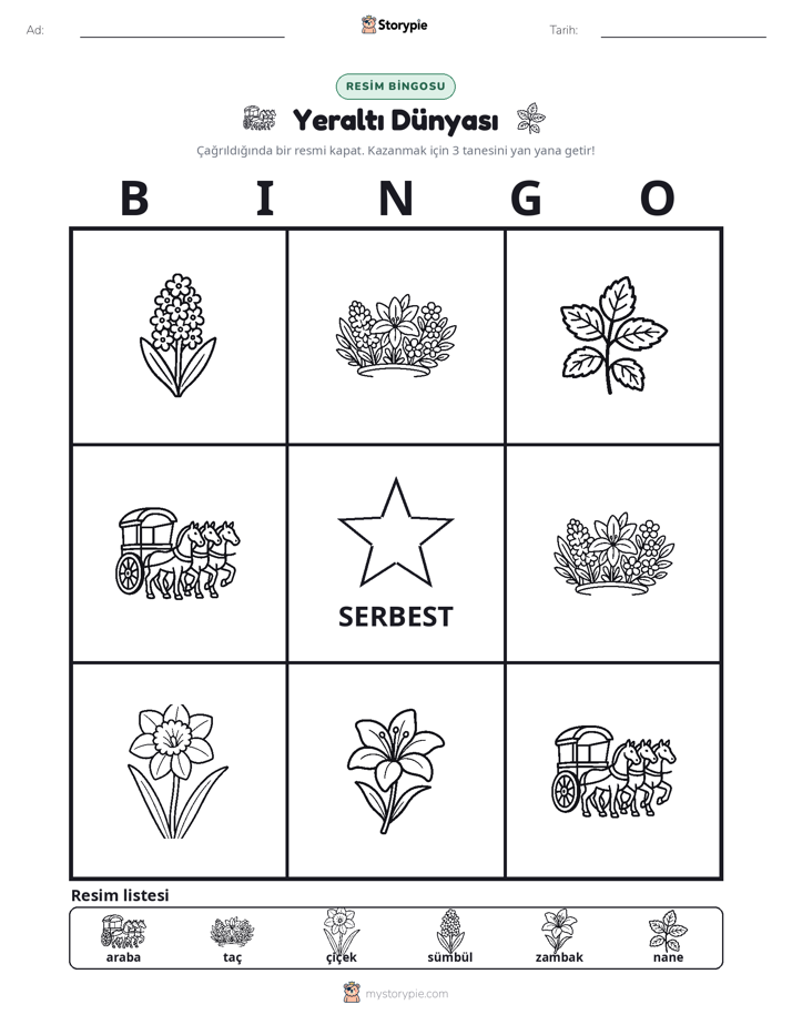 Resim Bingo