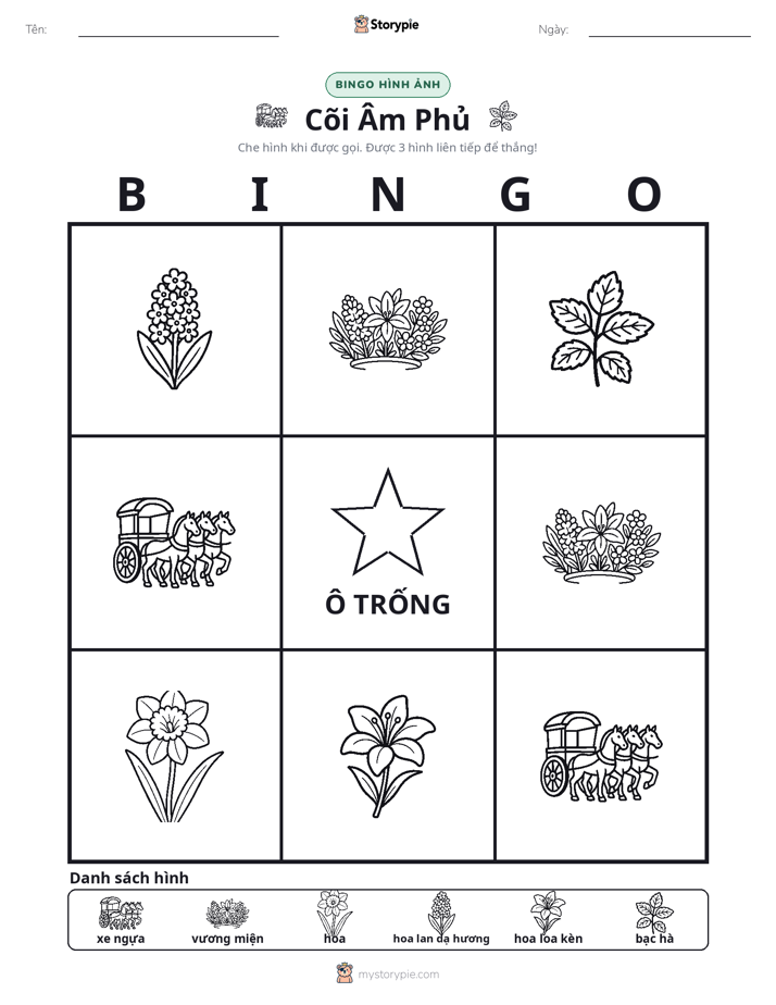 Bingo Hình Ảnh