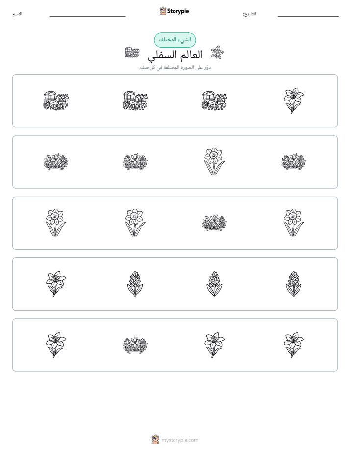 الغريب