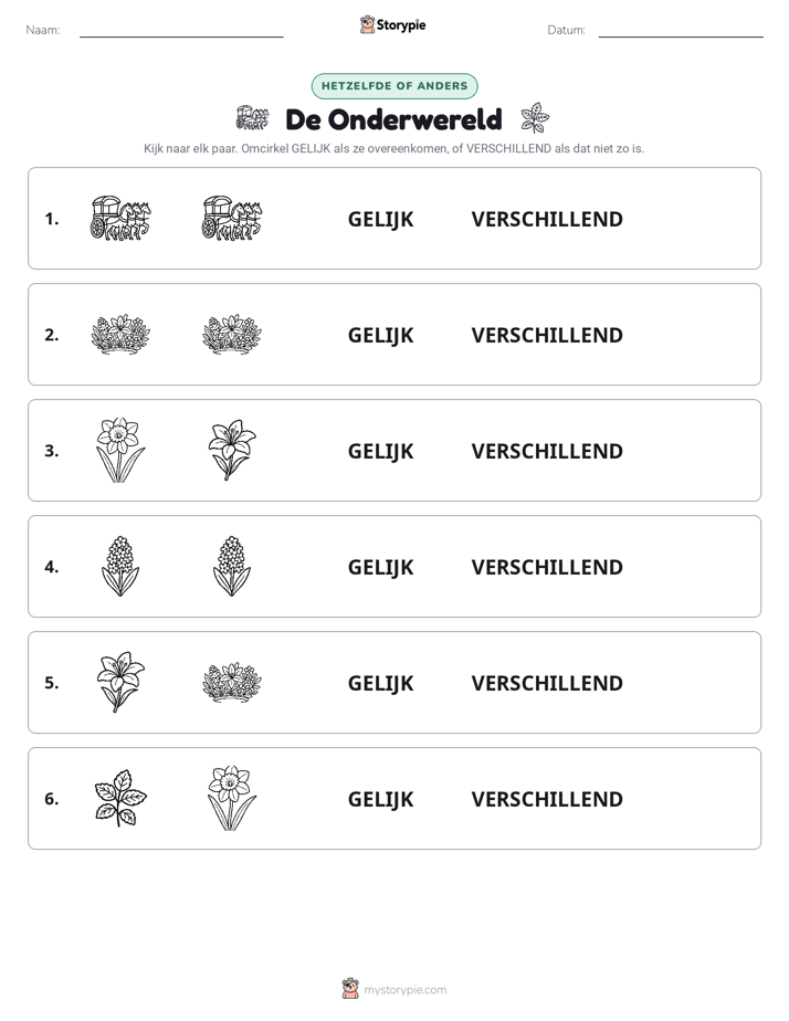 Zelfde of Verschillend