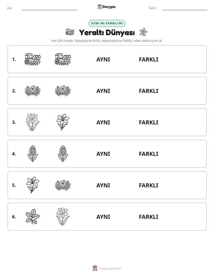 Aynı mı Farklı mı