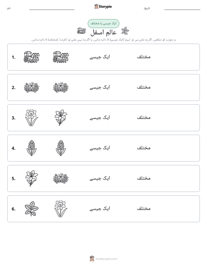 ایک جیسا یا مختلف