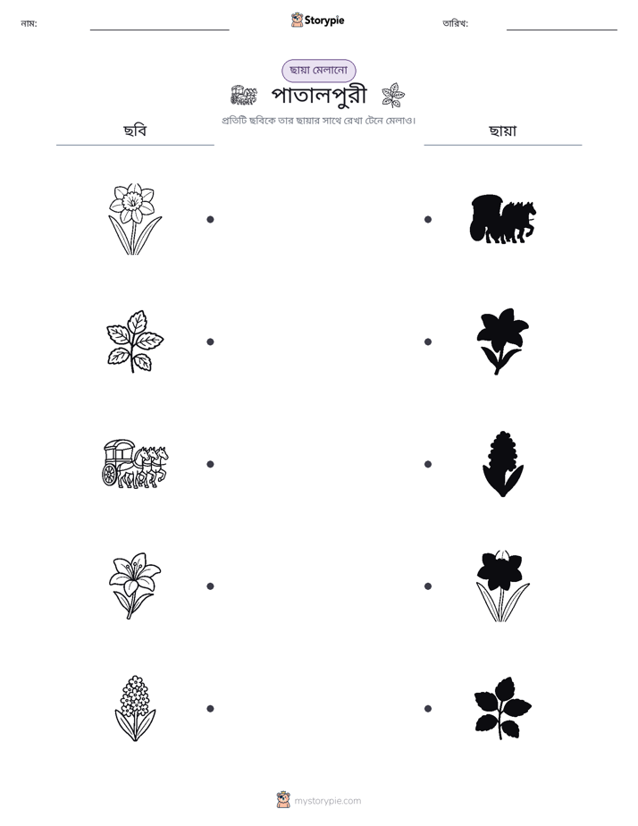 ছায়া মেলানো